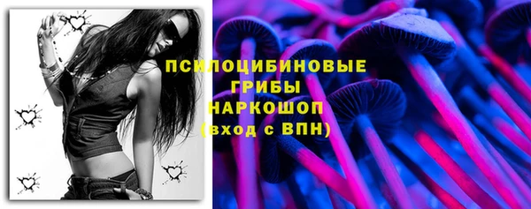 МДПВ Остров