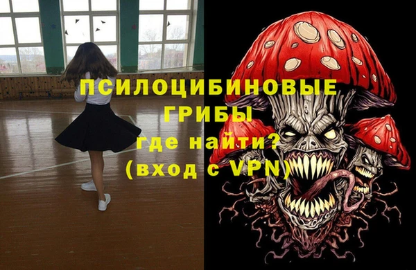 МДПВ Остров