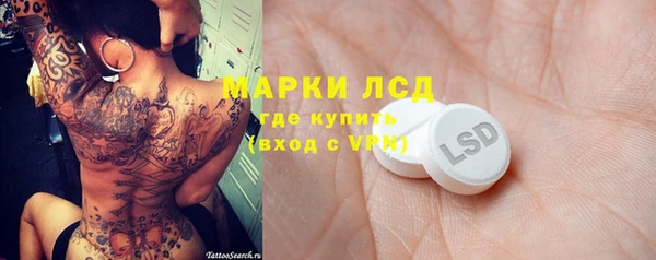 шишки Осинники