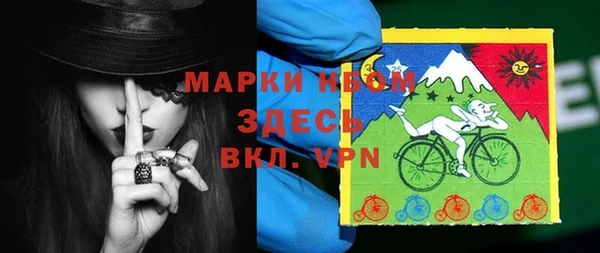 шишки Осинники