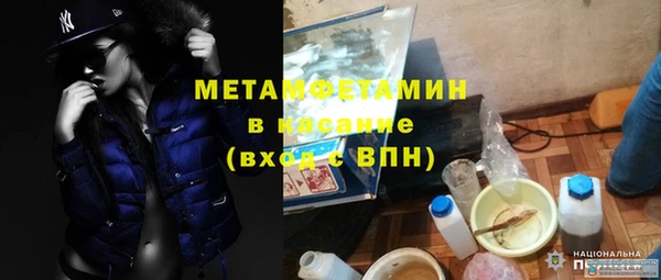 шишки Осинники