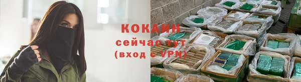 МДПВ Осташков