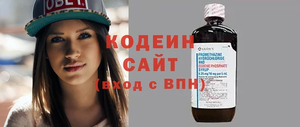 шишки Осинники