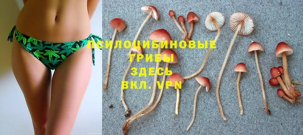 МДПВ Остров