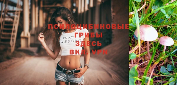 шишки Осинники