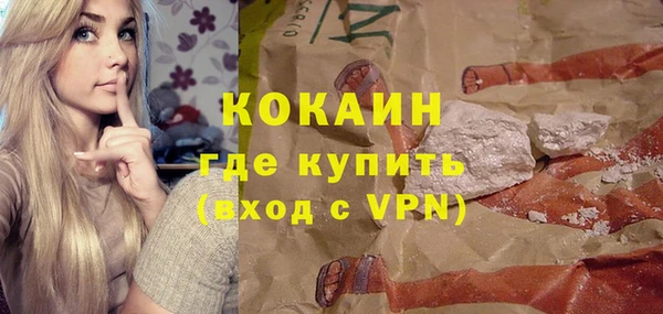 шишки Осинники