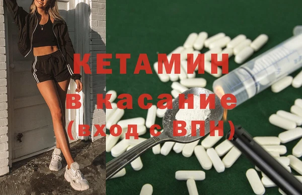 шишки Осинники