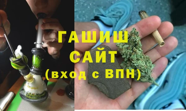 ГАЛЛЮЦИНОГЕННЫЕ ГРИБЫ Богданович
