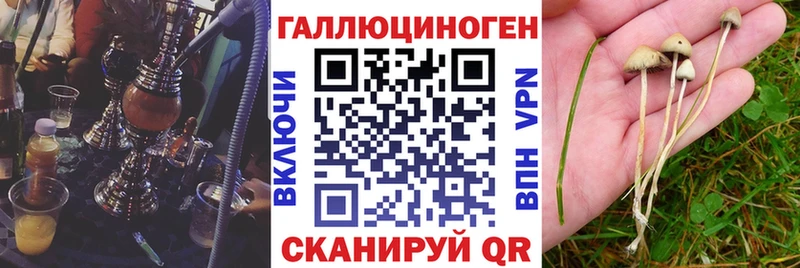 Галлюциногенные грибы ЛСД  Красавино 